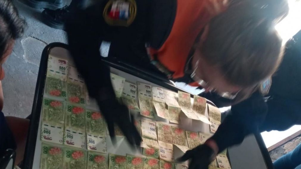 Parte de lo secuestrado en los operativos. (Gentileza Nuevo Diario)