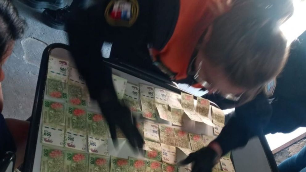 Parte de lo secuestrado en los operativos. (Gentileza Nuevo Diario)