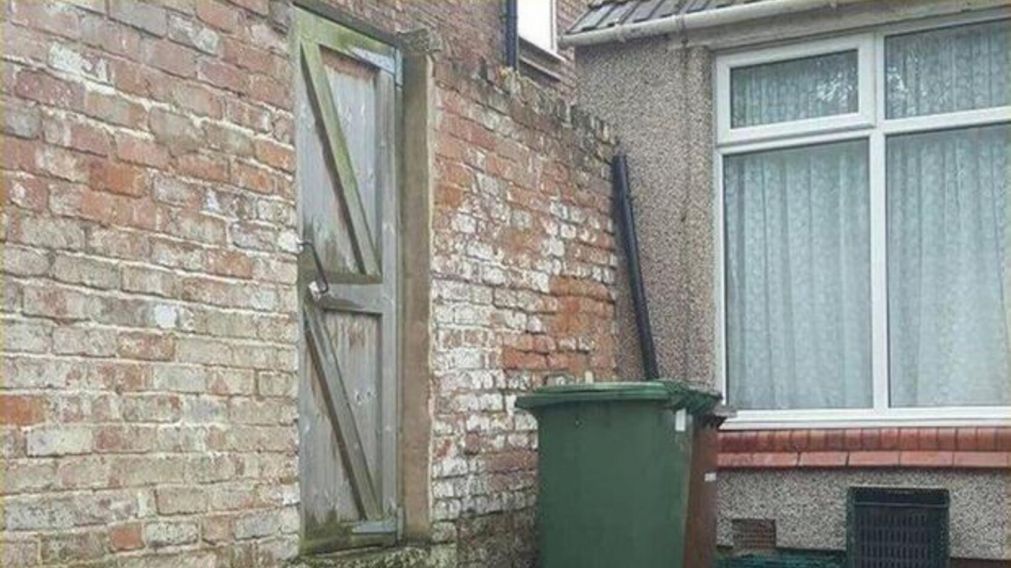 En este reto viral se deberá hallar en menos de 7 segundos al gato que está escondido en la foto.