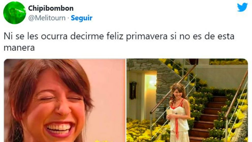 La primavera nos encontró llenos de memes (Twitter).