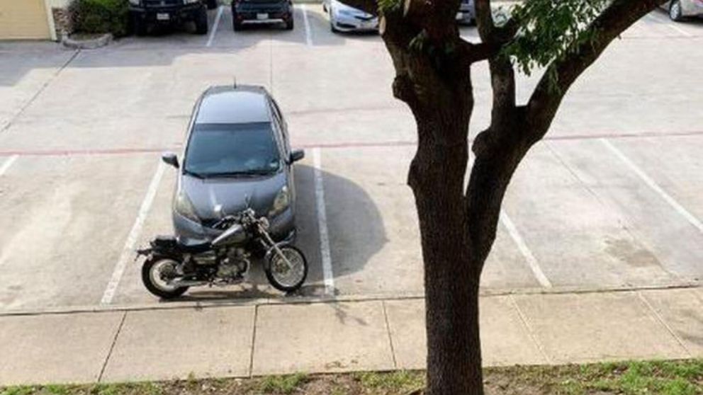 En el siguiente reto viral deberá encontrar en 7 segundos a la ardilla camuflada en la foto.