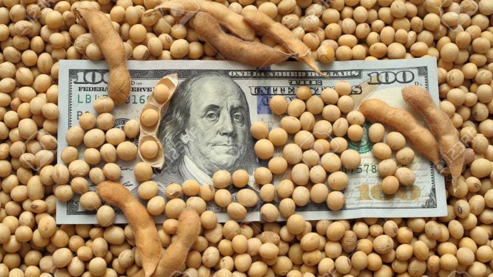 El "dólar soja" entró en vigencia los primeros días de septiembre.