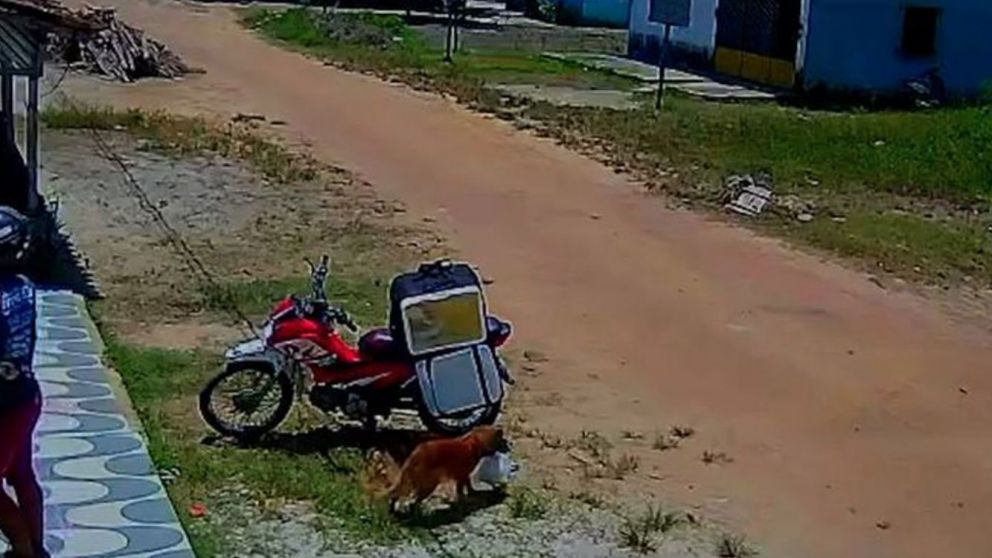 El video se viralizó rápidamente.