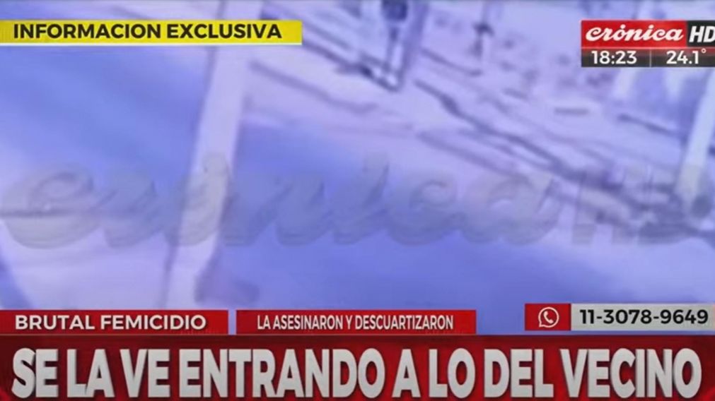 El video que muestra a la mujer paseando con su perro antes de ser víctima de un brutal femicidio.
