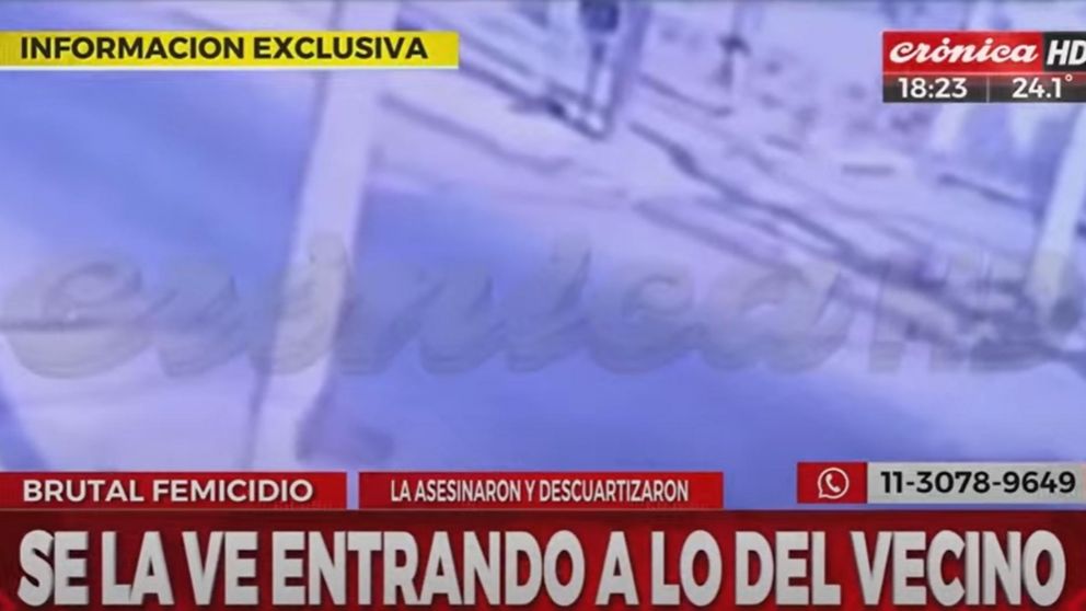 El video que muestra a la mujer paseando con su perro antes de ser víctima de un brutal femicidio.