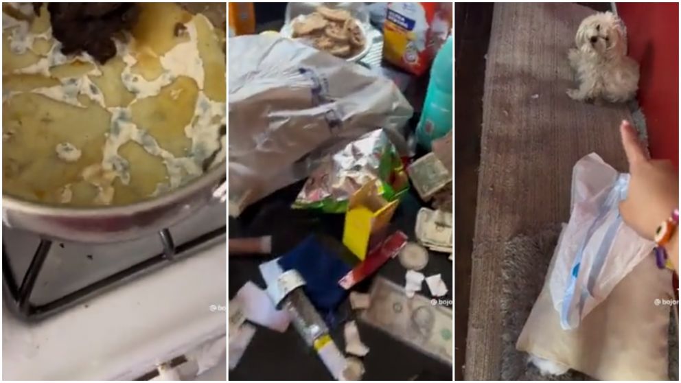 “Parece un basurero”: se fue de vacaciones, dejó a su novio a cargo de la casa y las redes lo catalogaron de “inútil”