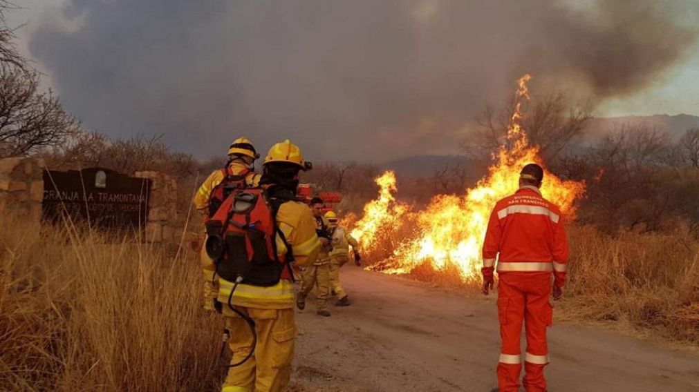 Un bombero luchaba contra el fuego, lo mordió por una serpiente venenosa y sobrevivió (Imagen ilustrativa).