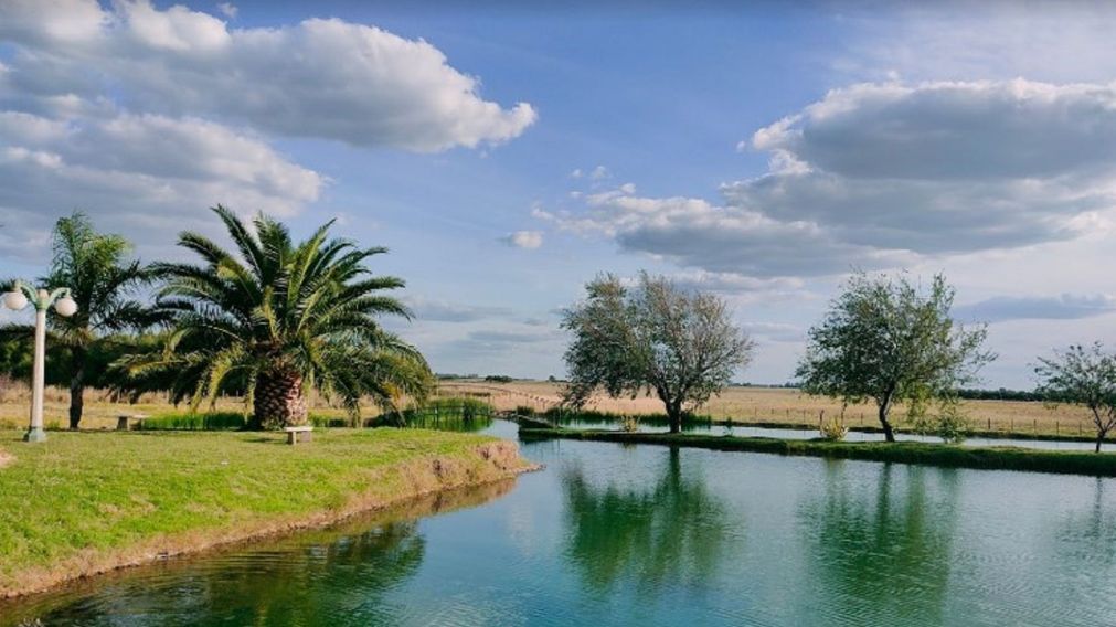 Médanos: la ciudad del ajo, el vino y las aguas termales.