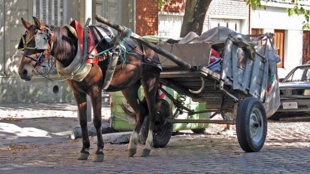 El individuo se movilizaba en un carro que era tirado por un equino.