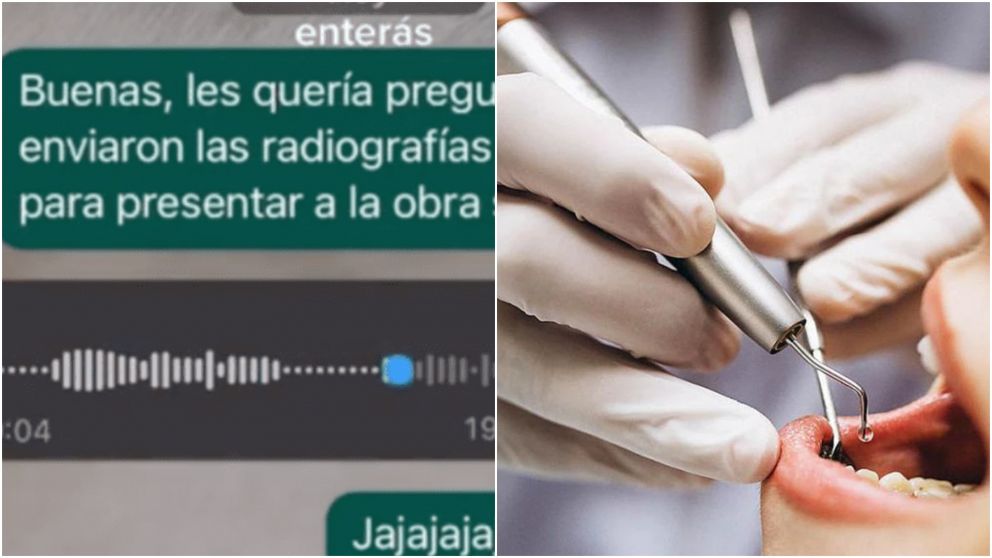 Le habló a su dentista por WhatsApp, pero recibió una respuesta de alguien inesperado: "Rubia hermosa"
