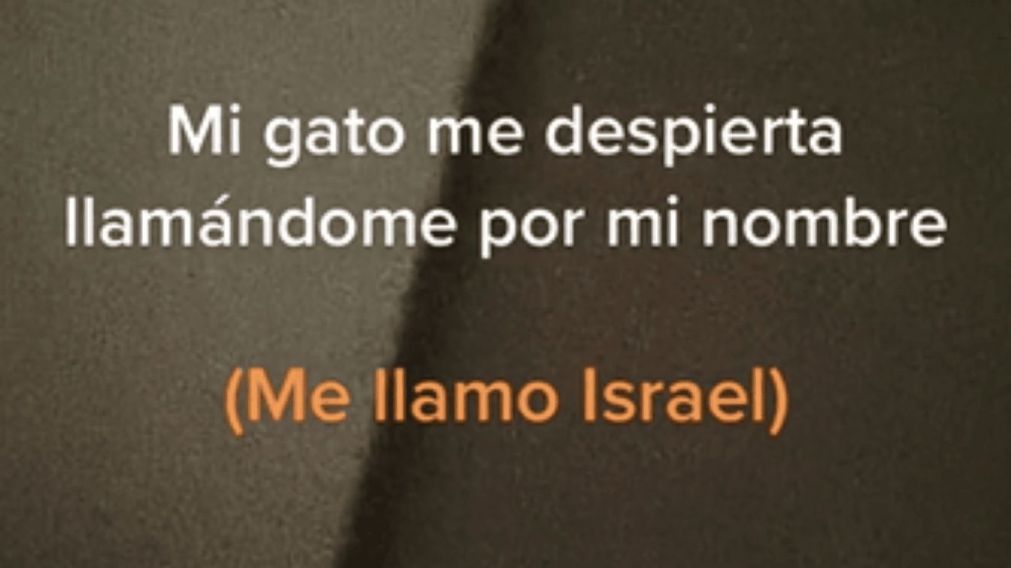 Tik Tok: un gato que habla.
