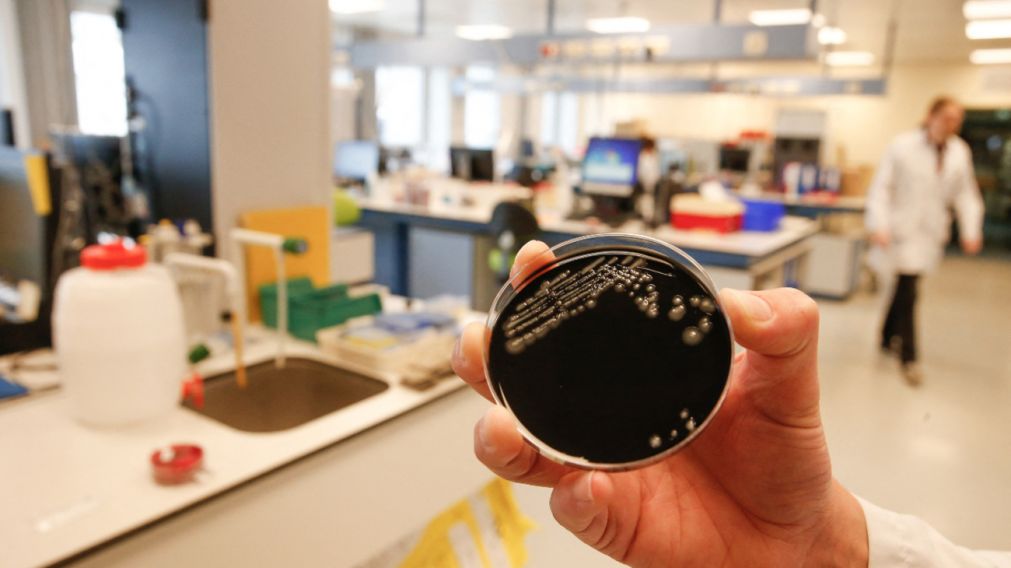 La bacteria legionella causó seis muertos en los últimos días en Tucumán (Imagen ilustrativa).