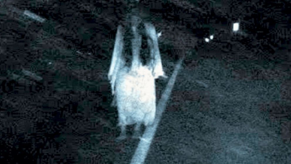 Los vecinos de Las Lajitas, en Salta, aseguran haber visto a La Llorona en un galp�n (Imagen ilustrativa).