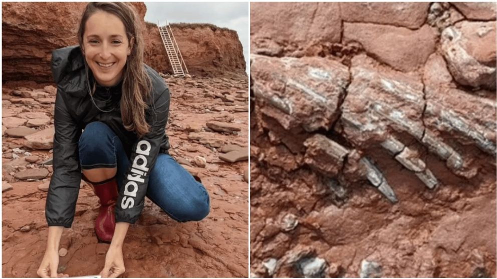 La profesora Lisa Cormier halló restos fósiles prehistóricos en Canadá (John Calder).