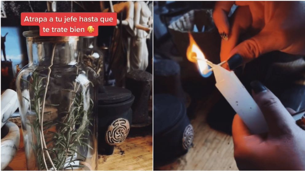 Gualicho para el jefe maltratador que es viral en las redes sociales (TikTok/@el.gato_magico).