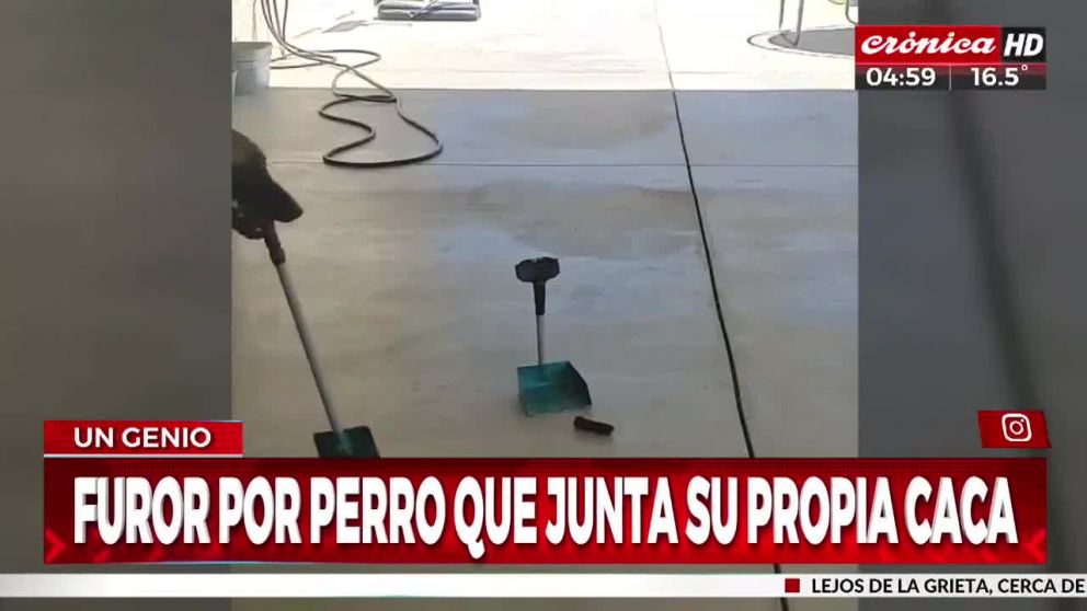 Crónica HD