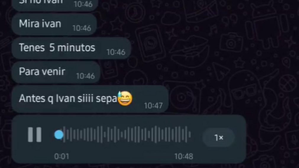 Los audios de WhatsApp se volvieron virales en Twitter.