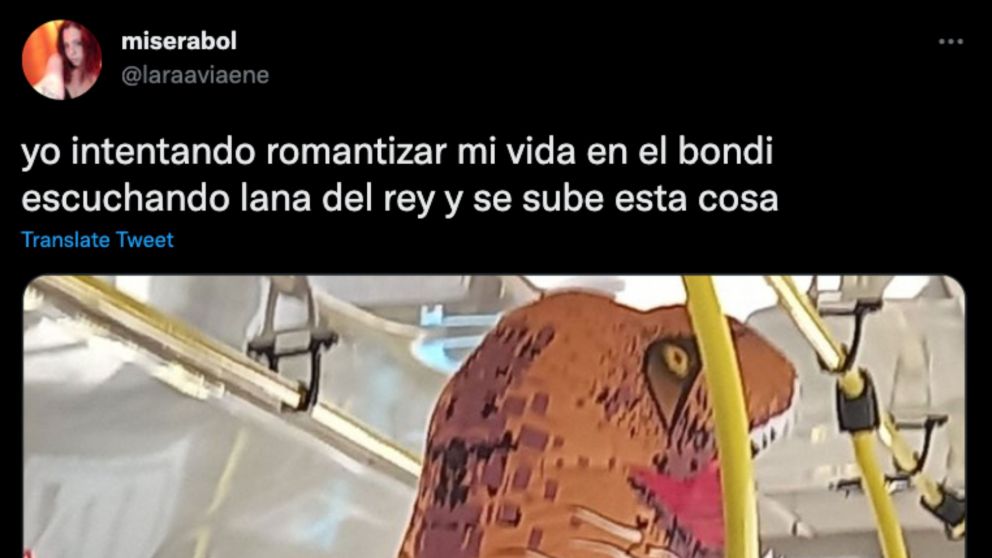 Joven intentaba viajar tranquila en el colectivo y un ins�lito motivo interrumpi� su momento.