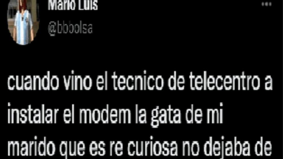Una mujer compartió en Twitter el curioso momento que pasó la gata de su marido con un técnico de Telecentro.