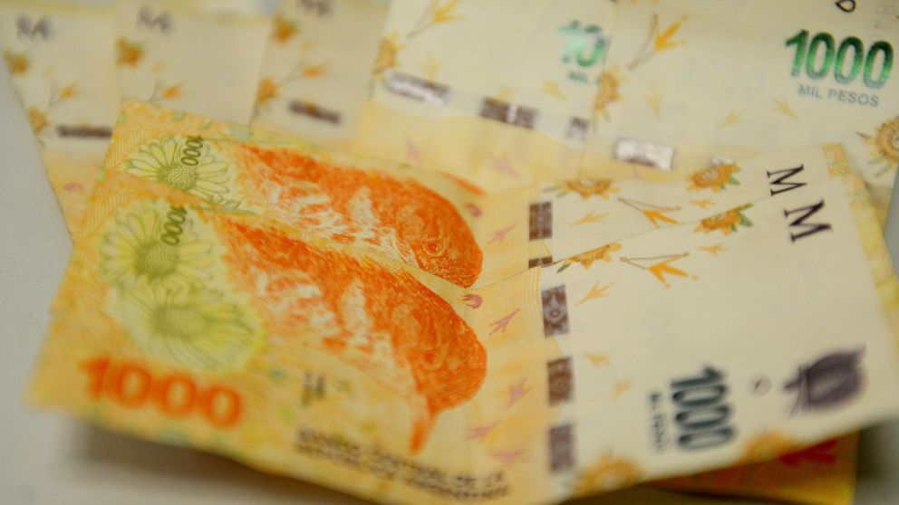 ¿Qué hacer con los ahorros en pesos y en qué invertir? (Hernán Nersesian / Crónica).