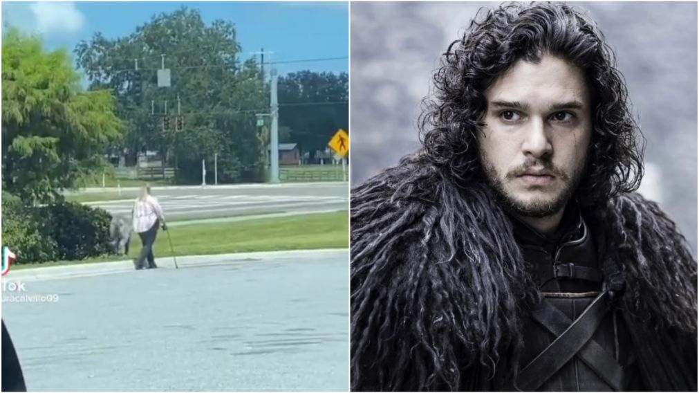 ¿Salió de "Game of Thrones"? Una mujer sacó a pasear a su "perro monstruo" y empezaron las teorías
