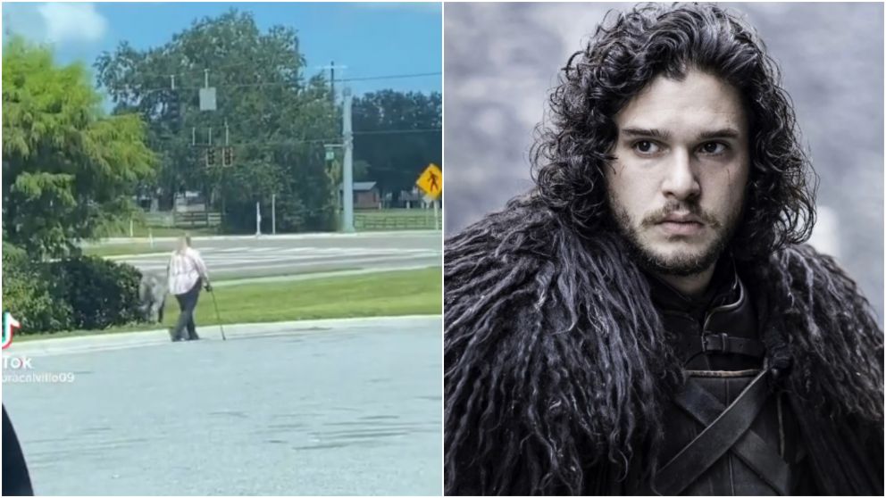 ¿Salió de "Game of Thrones"? Una mujer sacó a pasear a su "perro monstruo" y empezaron las teorías