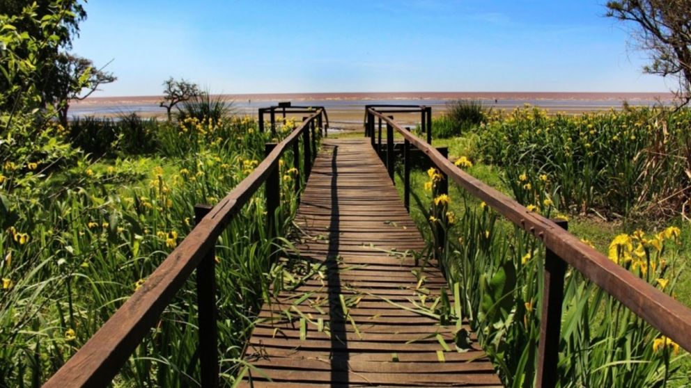 Escapada: la pequeña ciudad ubicada a orillas del Río de la Plata con actividades en la naturaleza, ideal para disfrutar en familia.
