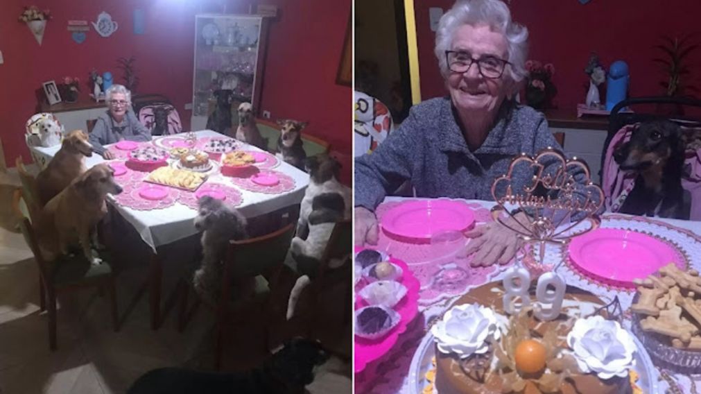 Una abuela festejó sus 89 años con sus perros y la fiesta se hizo viral (Imagen captura video).
