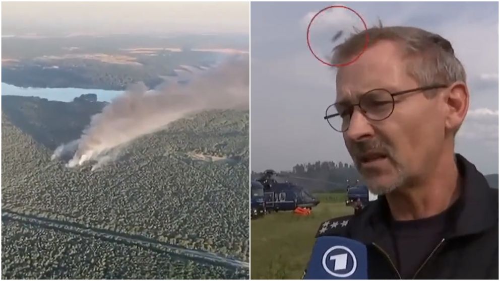 Un nuevo avistamiento OVNI fue capturado por accidente y se volvió viral: las inquietantes imágenes