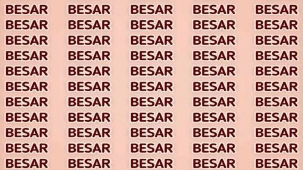 Deberán encontrar la palabra en tan solo 7 segundos.