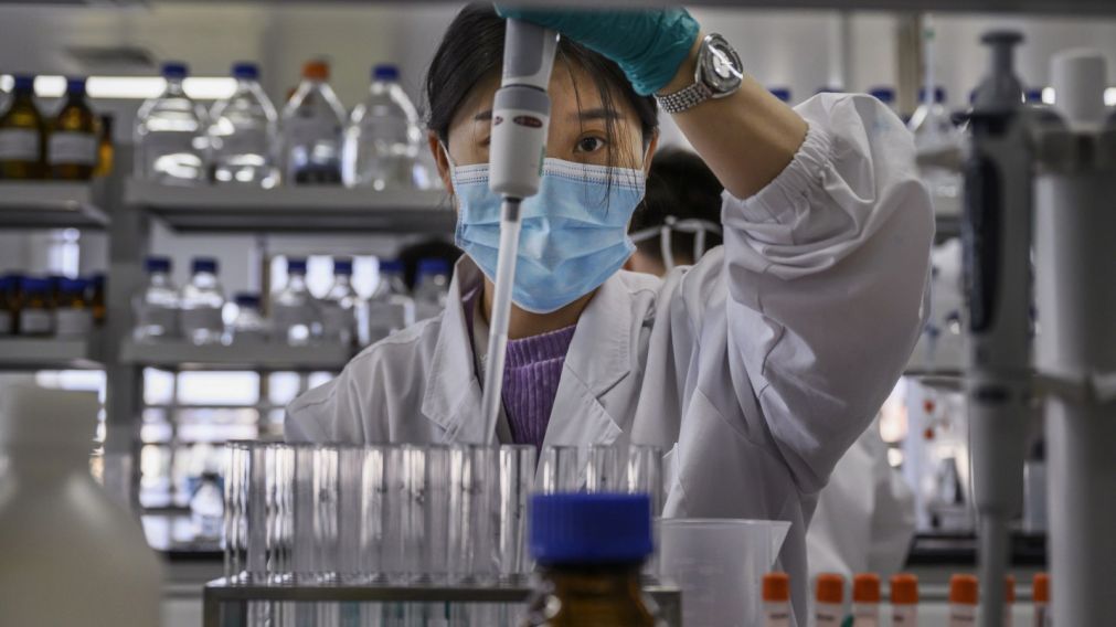 Alarma en China: científicos hallaron 35 infecciones causada por un nuevo virus animal, llamado Langya
