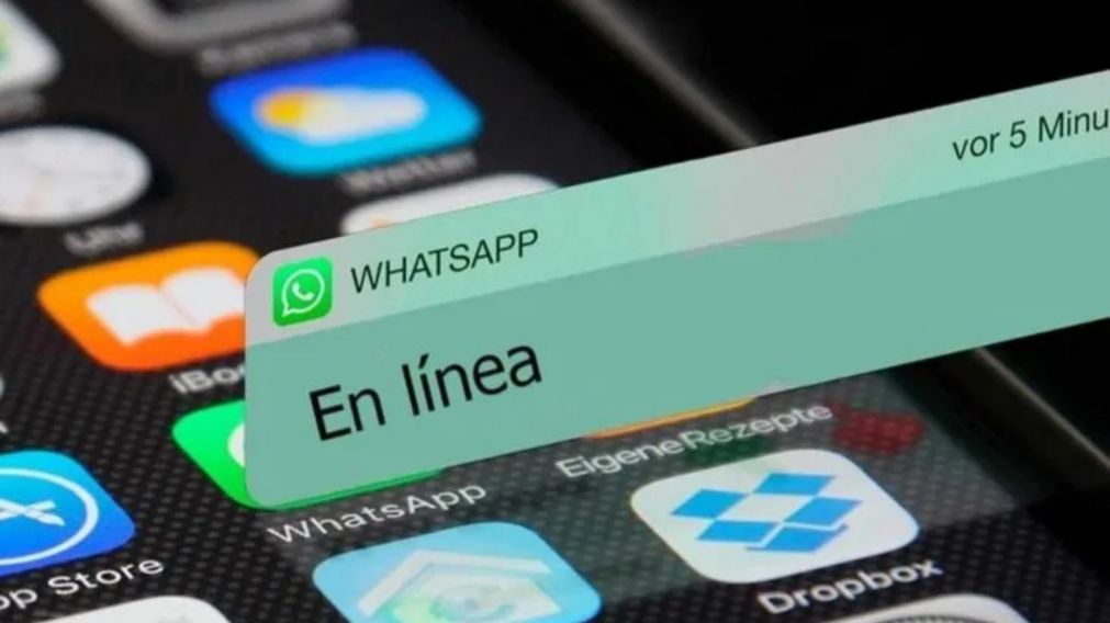WhatsApp: con la nueva configuraci�n eleg� quien puede ver cuando est�s en l�nea y quien no.
