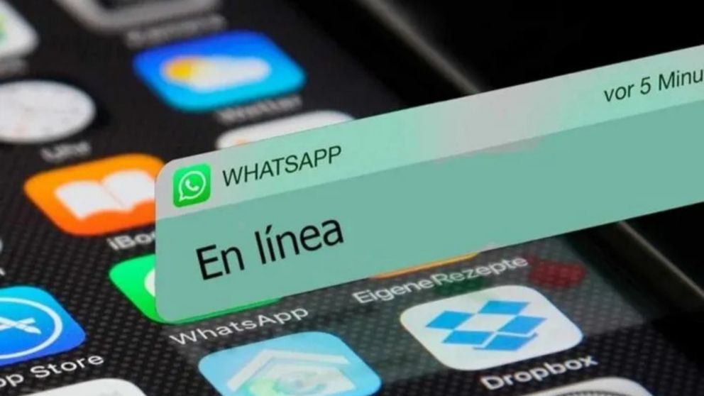 WhatsApp: con la nueva configuración elegí quien puede ver cuando estás en línea y quien no.