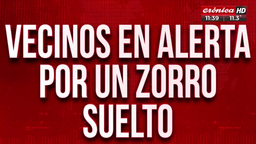 Crónica HD