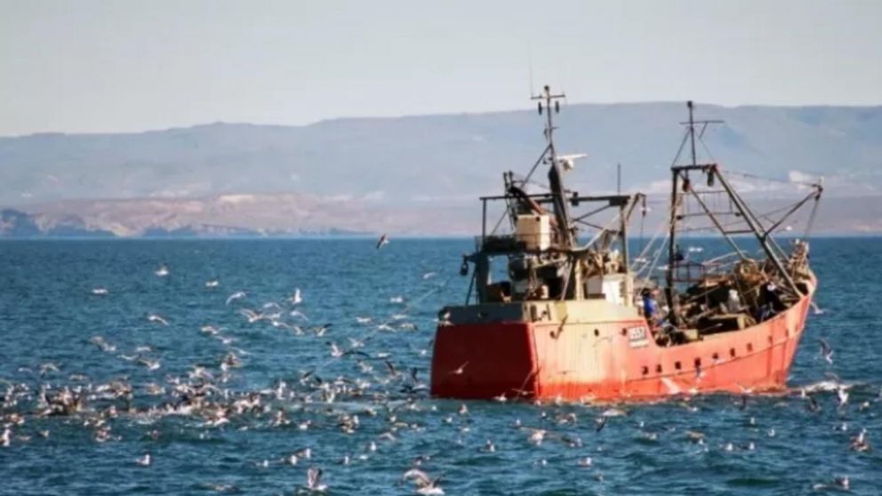 La industria pesquera ingresará alrededor de US$ 310 millones en los próximos 45 días.