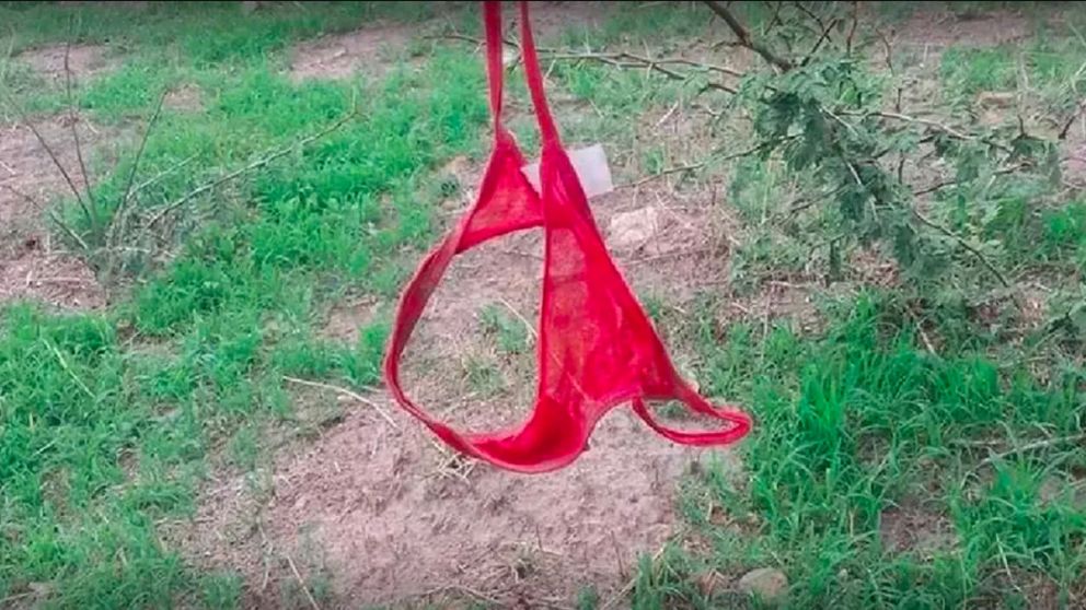 Los internautas iniciaron una búsqueda para localizar a la dueña de la prenda perdida.