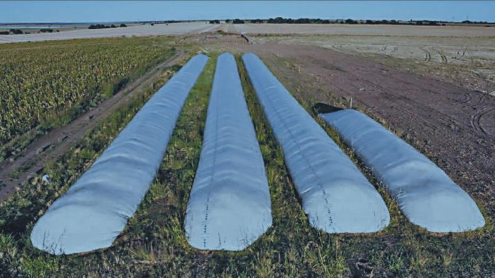 La medida busca que los productores vendan la soja retenida en silobolsas y liquiden los dólares.