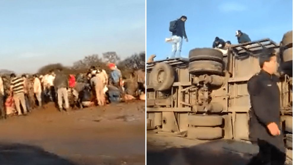 Volcó un camión con vacas en Santa Fe y las faenaron todas (Twitter/@SurPortal).
