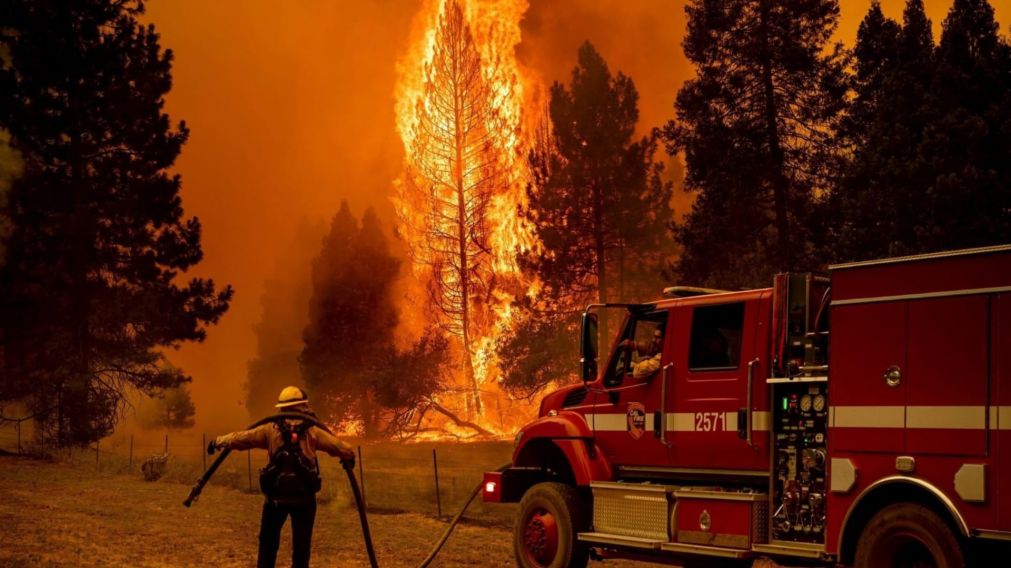 El incendio forestal en California arras� miles de hect�reas en Oak, cerca del Parque Nacional de Yosemite.