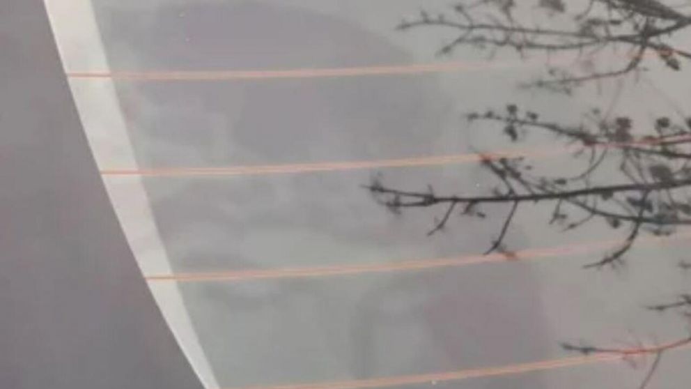 La imagen fue subida a las redes sociales y generó conmoción (Facebook).