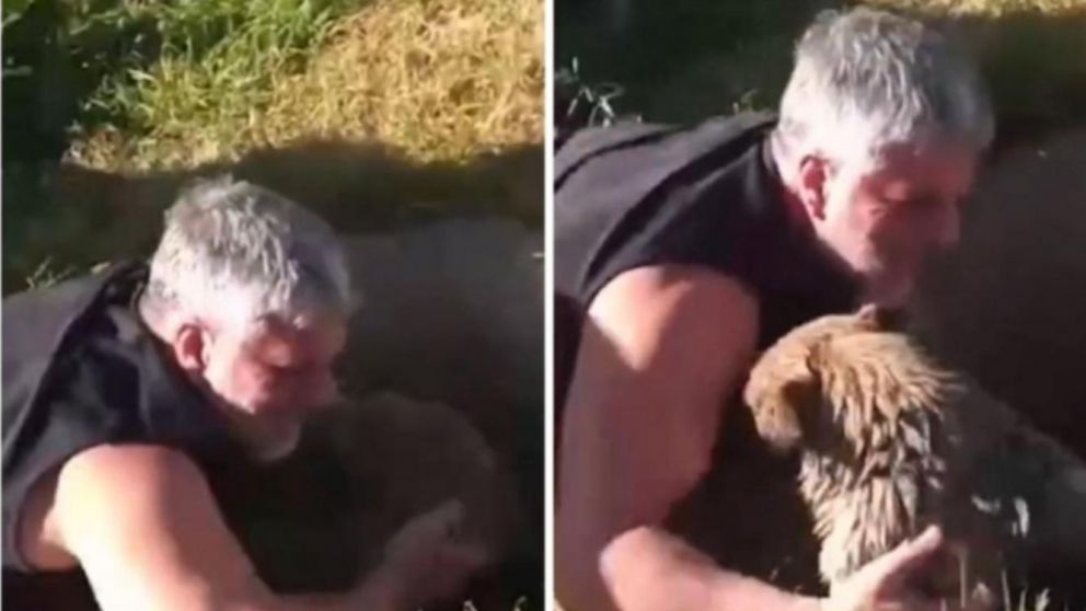 Un peluquero protagonizó una historia increíble que terminó con final feliz.