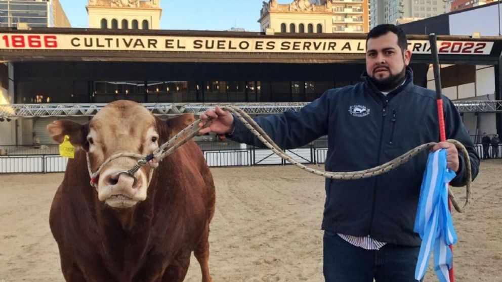 Nicanor, el toro raza Limousin doble campeón del mundo, fue el primer animal en ingresar a la Exposición Rural de Palermo.