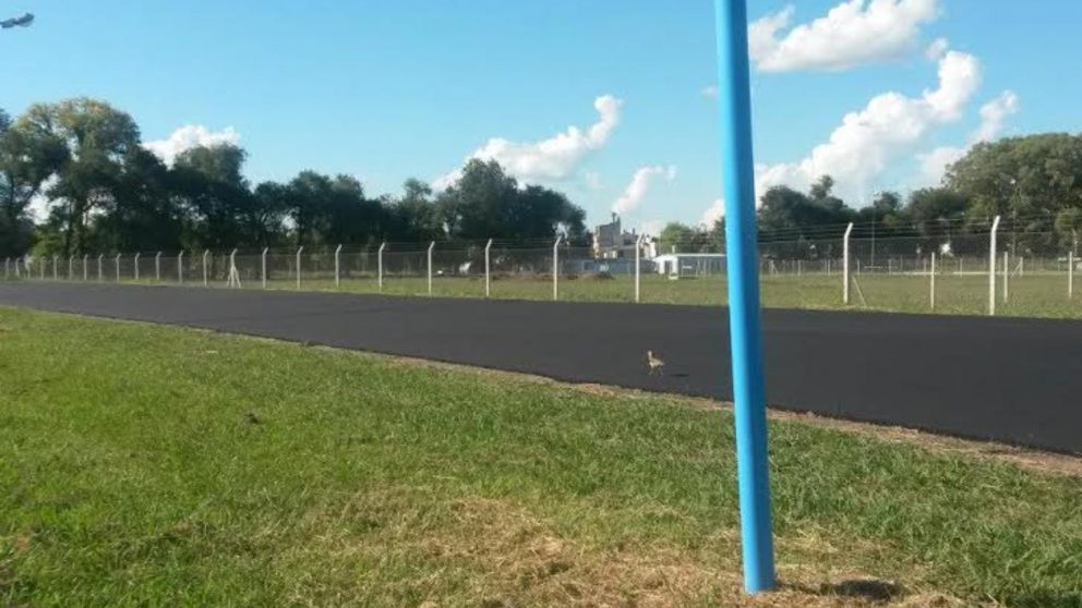 El hecho se produjo en este predio, ubicado en el norte de la Provincia de Buenos Aires.